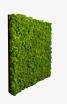 woodupp moss panel
