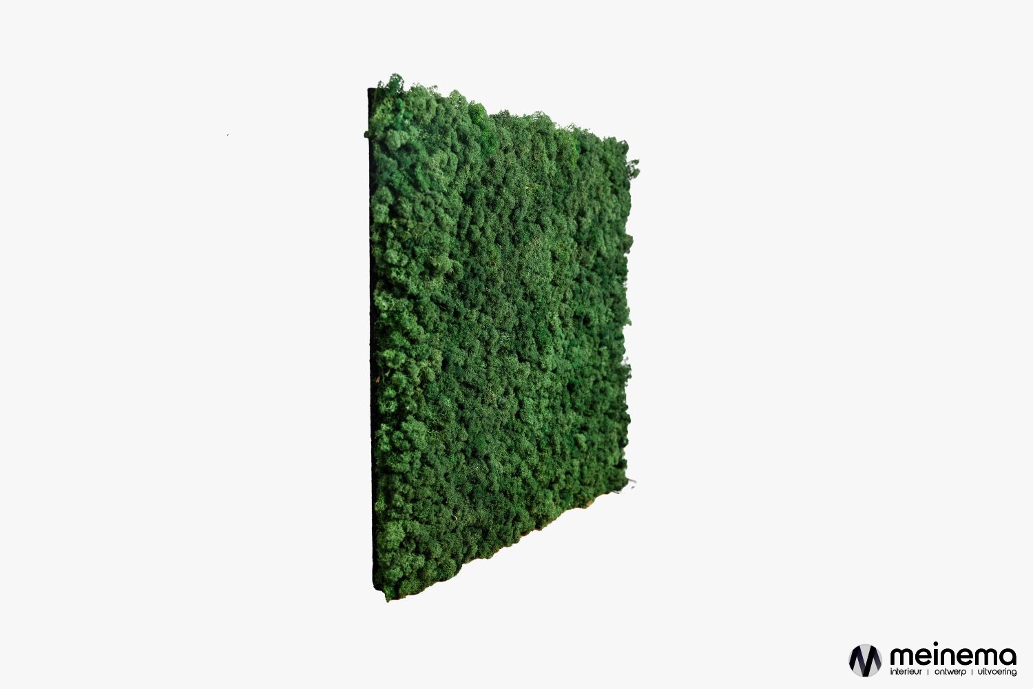 moss panel wooddupp
